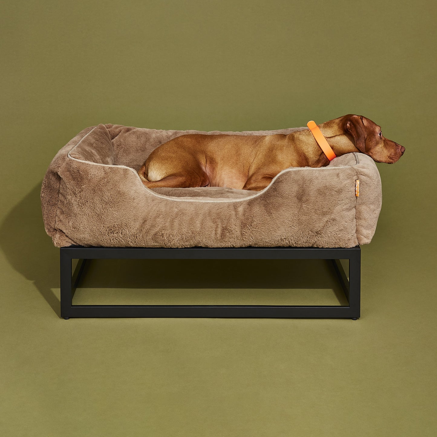 The FÜZI Dog Bed - Faux Fur