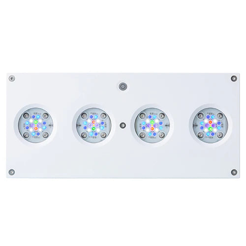 AI Hydra 64 HD LED Module