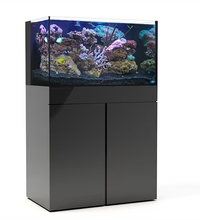 JBJ 65G AIO Starter Kit - Aquarium & Stand