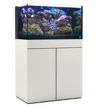 JBJ 65G AIO Starter Kit - Aquarium & Stand