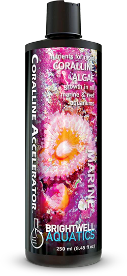 Brightwell Aquatics Coralline Accelerator