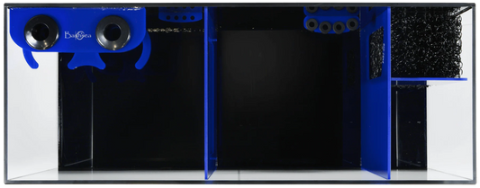 Bashsea 36x14x16" Bio-Fuge Sump - BLUE