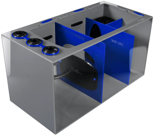 Bashsea Smart Series 30x15x16 Sump - BLUE