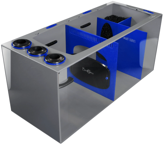 Bashsea Smart Series 36x15x16 Sump - BLUE