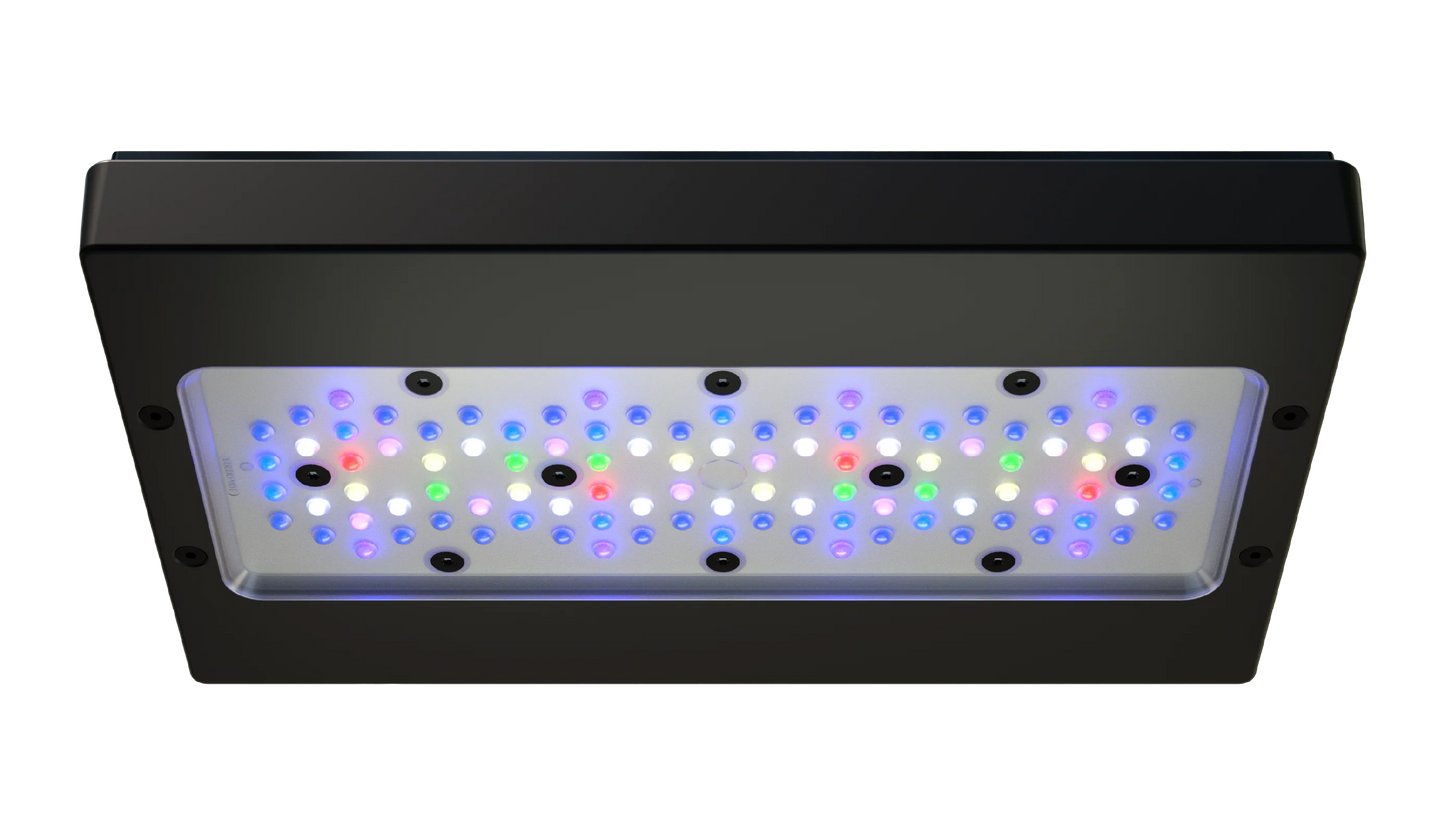 Ecotech Radion G6 BLUE LED Light