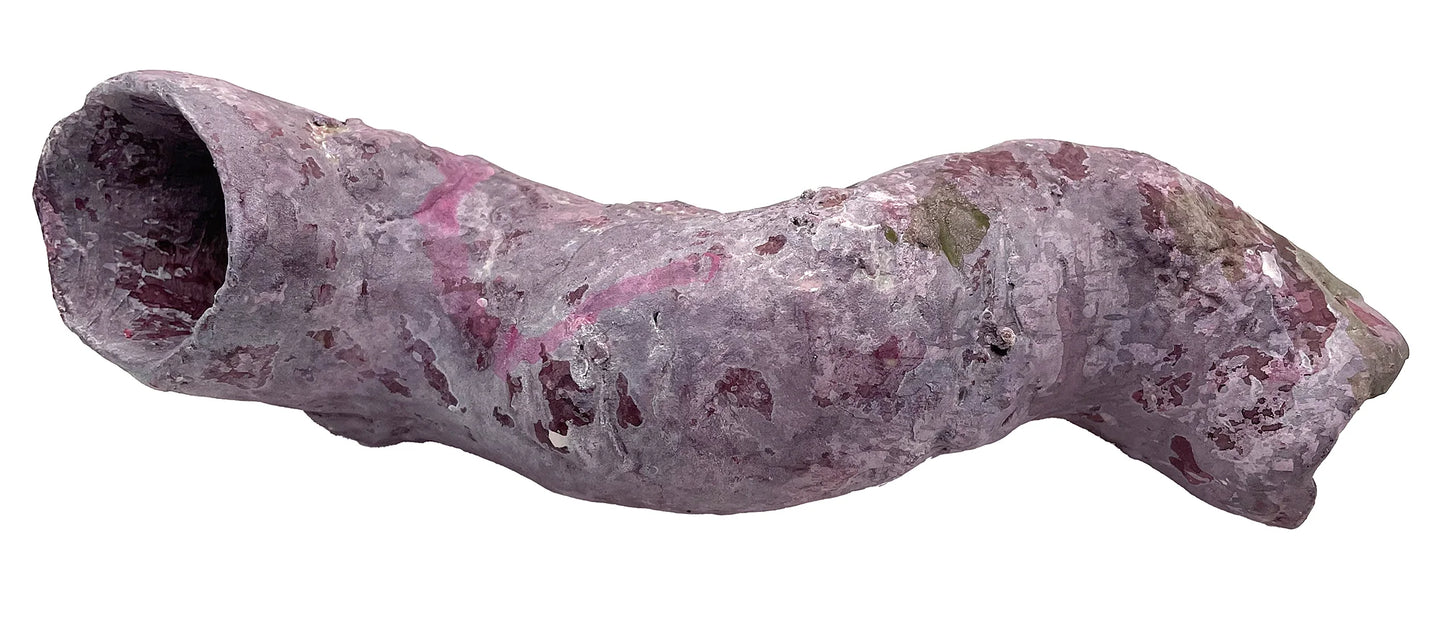 Tropic Eden Morroca Cocoworm Fish Home Tube