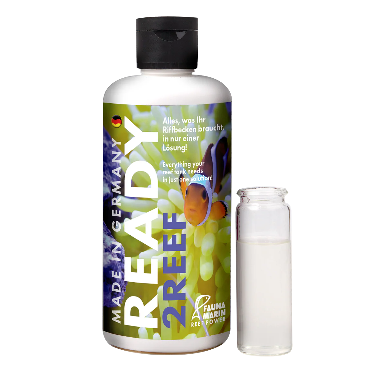 Fauna Marin Ready to Reef