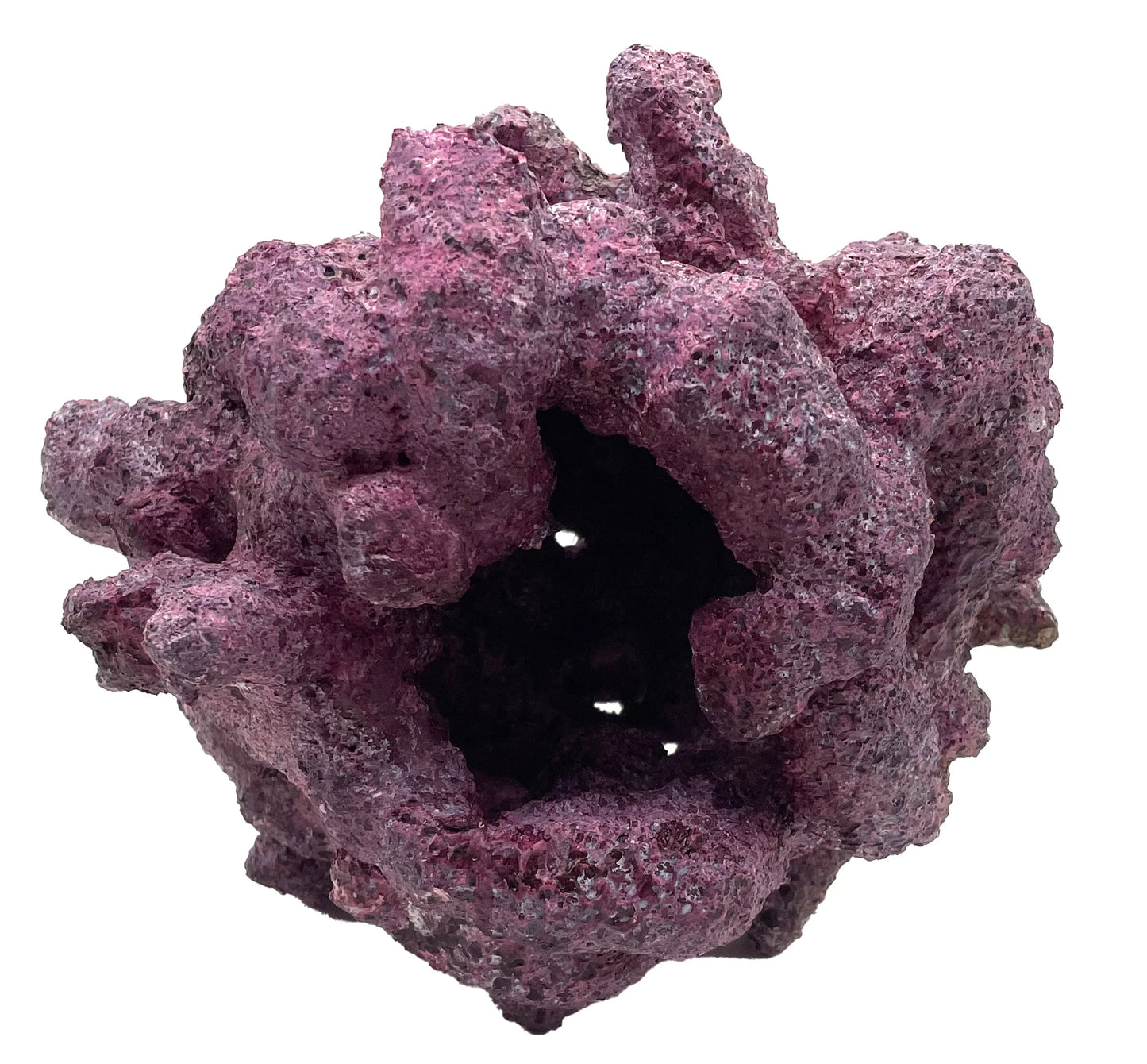 Tropic Eden Morroca Reef Cradle Rock