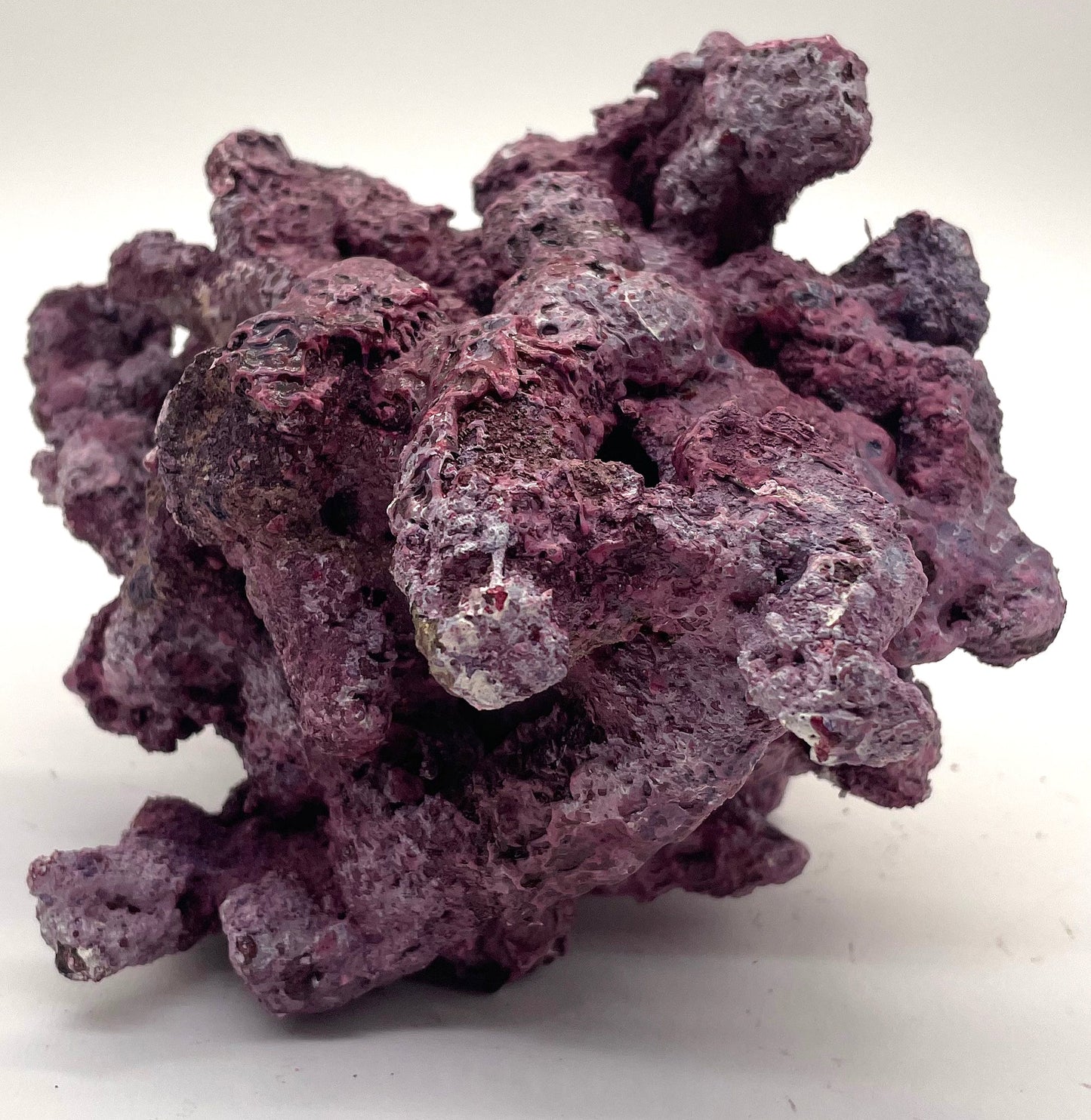 Tropic Eden Morroca Irregular Rock - Small - ONE Piece (1.7-2.2lbs)