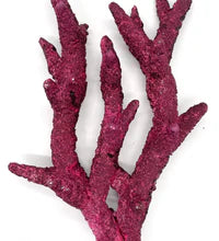 Real Reef Fancy BRANCH Rock (Sold Per LB)