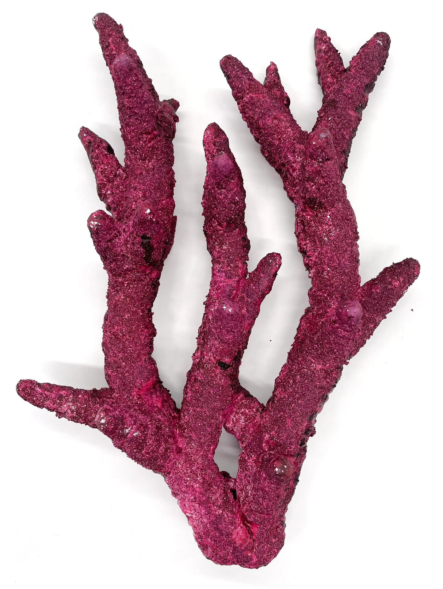 Real Reef Fancy BRANCH Rock (Sold Per LB)