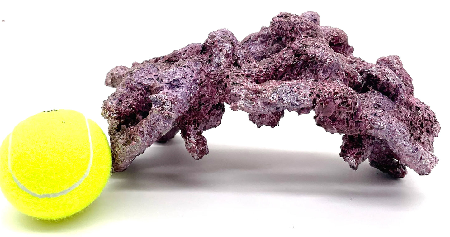 Tropic Eden Morroca Single Cave Rock - ONE Piece approx 2-2.5lb Piece - Original Batch