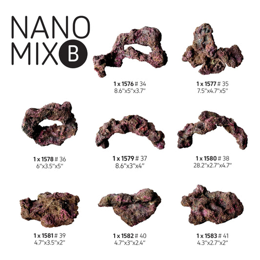 Ecoscape Reef Nano