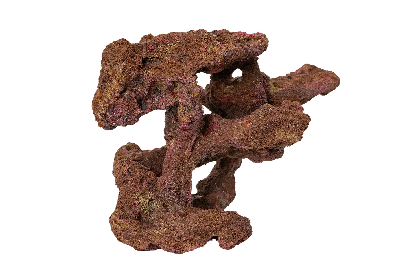 Ecoscape Reef Centerpiece