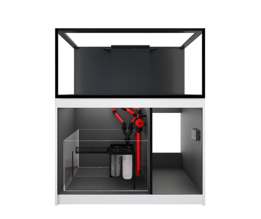 Red Sea REEFER 425 G3