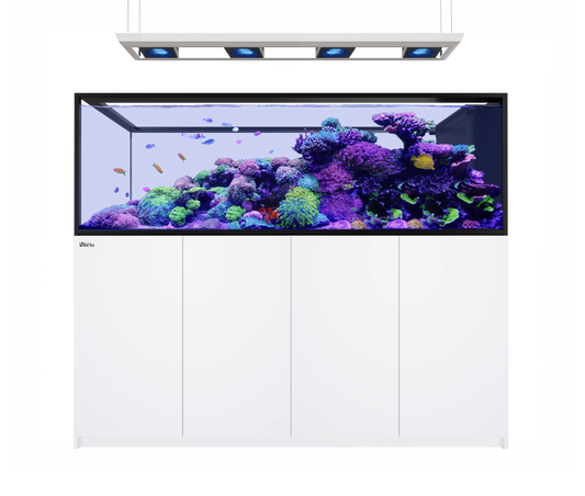 Red Sea REEFER Peninsula S 950 G3 Deluxe (inc. 4 X RL170 & pendant)