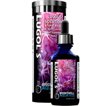 Brightwell Aquatics Lugol's Solution - Advanced Iodine for R