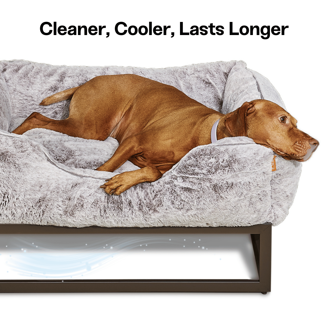 The FÜZI Dog Bed - Faux Fur