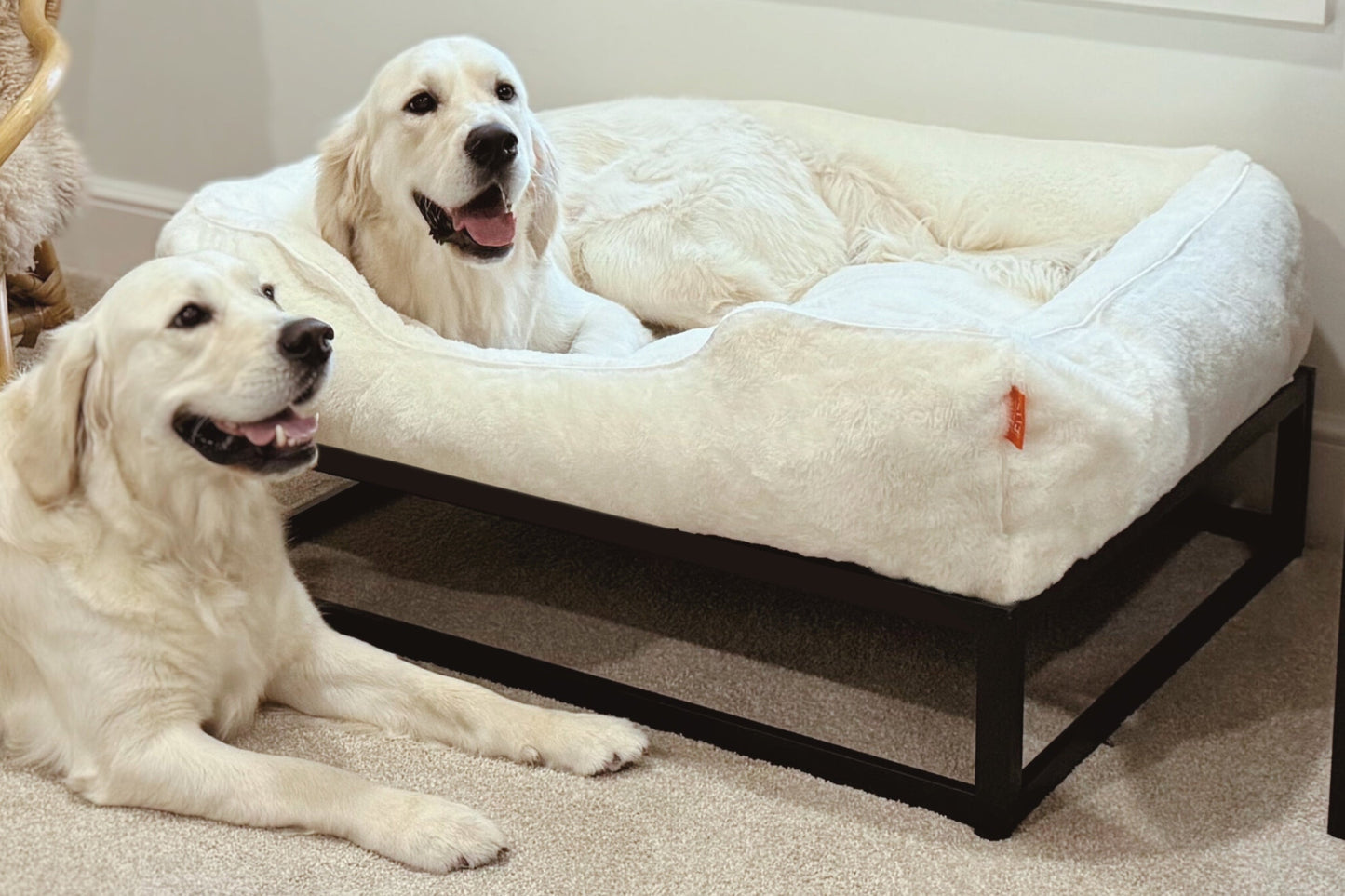 The FÜZI Dog Bed - Faux Fur