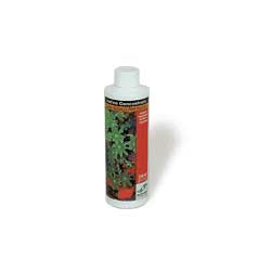 Two Little Fishies Iodine Concentrate 250 mL (8.4 fl oz)