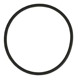 Reactor O-Ring (1 per pack)