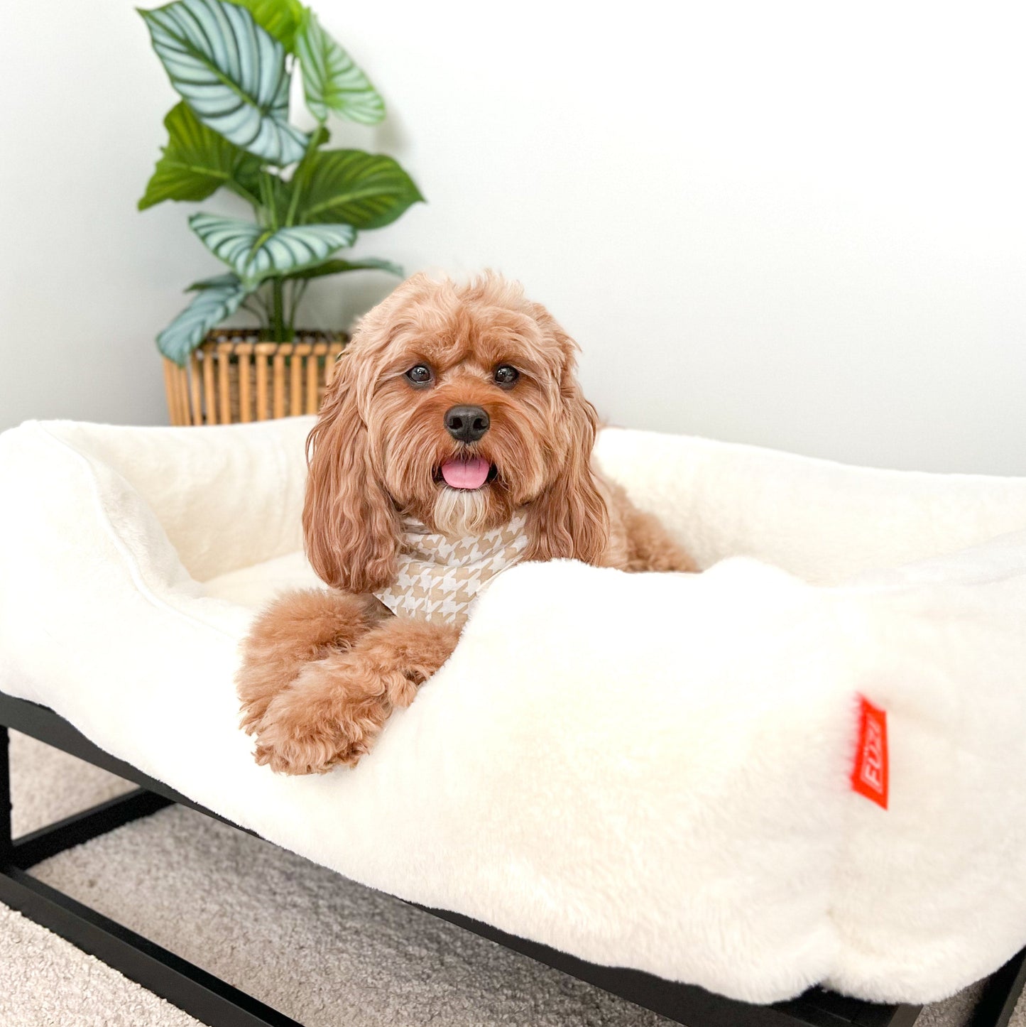 The FÜZI Dog Bed - Faux Fur