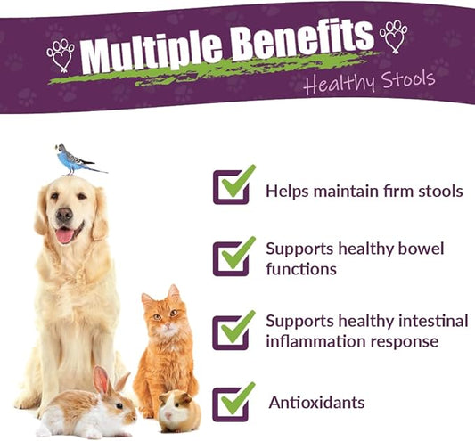 Amber NaturalZ Kochi Free Herbal Supplement for Dogs, Cats, Birds, Guinea Pigs, and Rabbits | Pet Herbal Supplement for Healthy Stool Support | 1 Fluid Ounce Glass Bottle | Manufactured in The USA
