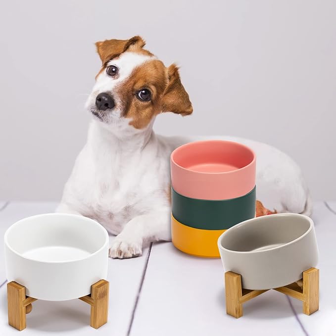 SPUNKYJUNKY 15° Slanted Ceramic Dog and Cat Bowl with Wooden Stand, Tilted Bulldog Food and Water Bowl No Slip Non-Spill for Cats Medium Dogs Big Face Pets 28.7 OZ (3.6 Cups, White)
