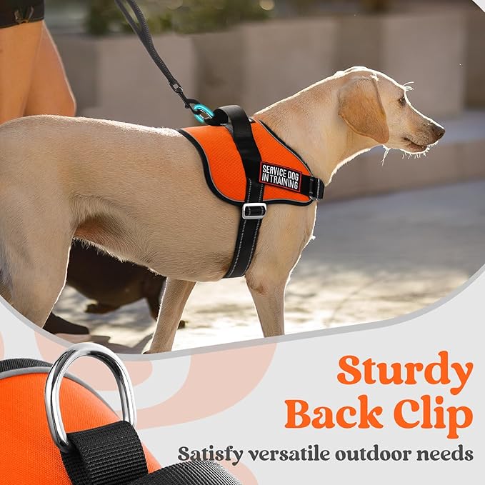 rabbitgoo Dog Harness for Large, Easy On Pet Vest with One Buckle, No Pull Adjustable Service Harness with D-Ring & Handle, Reflective for Safety Walking, Training, Orange, XL