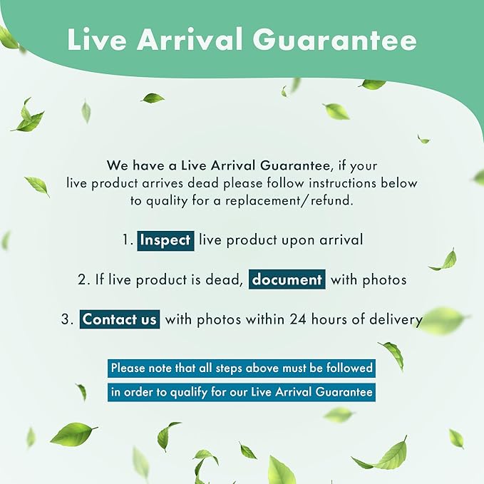 Anubias Live Aquarium Plants - Potted Freshwater Plant for Fish Tanks, Terrariums - Beginner Friendly Low Light (Chili Jalapeno, 1 Pot)