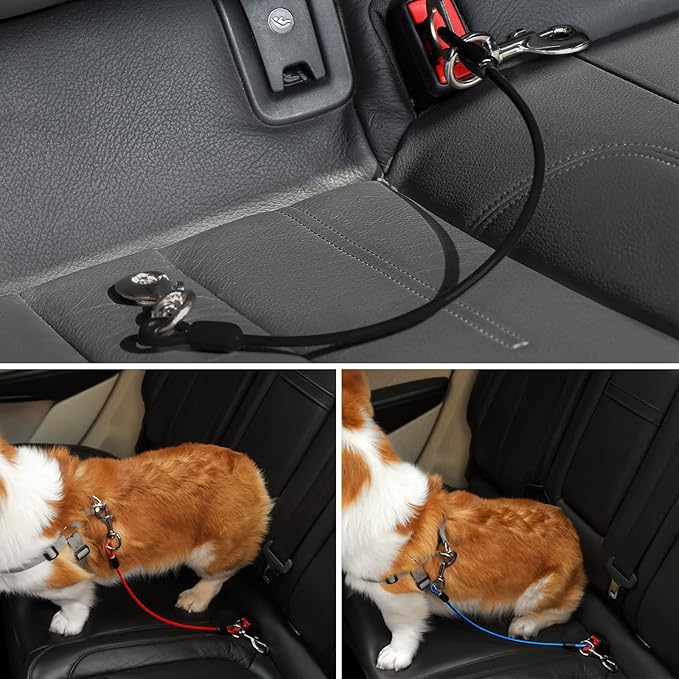 Dog Seat Belt Harness for Car,2pcs Dog Seatbelt of Coated Wire Leash Safety Restraint,No Chew Tether Cable Vehicle Dog Accessories,Double Clips & Latch (2 Pack Red+Blue, 16 inch/40 CM)