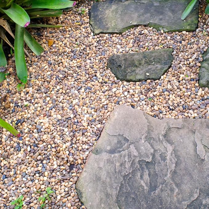 10lbs Natural River Rocks, 1/4" Aquarium Gravel Small Rocks for Plants Pea Gravel for Fish Tank, Decorative Pebbles for Gardening, Flower Pots, Vase Fillers, Indoor Water Fountains, Landscaping