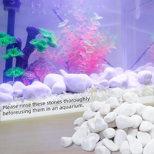 45LB 1"-2" White River Rocks for Plants, Polished Pebbles for Garden Landscaping, Planters, Aquariums, Vase Fillers – Indoor & Outdoor Decor