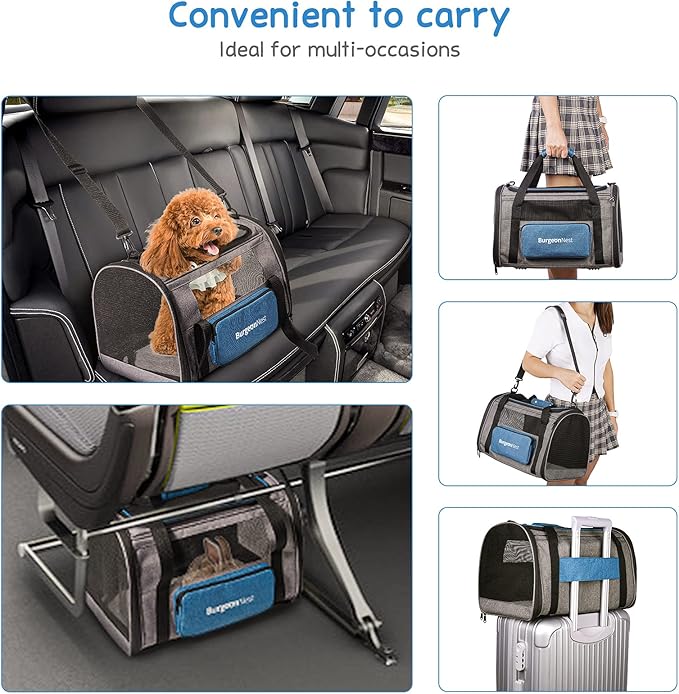 BurgeonNest Cat Carrier for Large Cats 20 lbs,Medium Pet Under 25 lbs,2 Puppy and Small Dogs with Unique Side Bag,Top Load Pet Carrier Soft-Sided Escape Proof with 4 Ventilated Windows