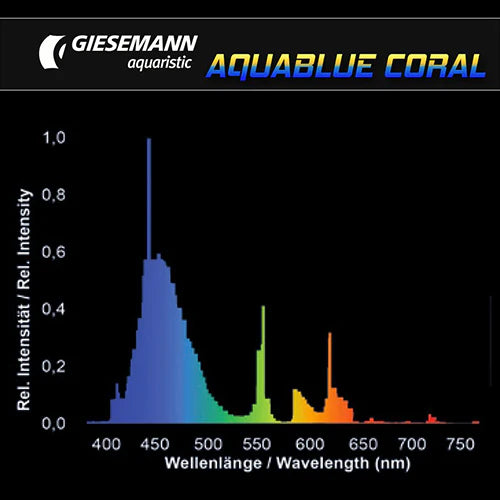 Giesemann Aquablue Coral T5