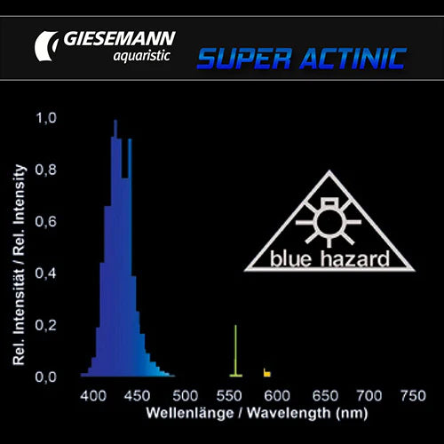 Giesemann Super Actinic T5