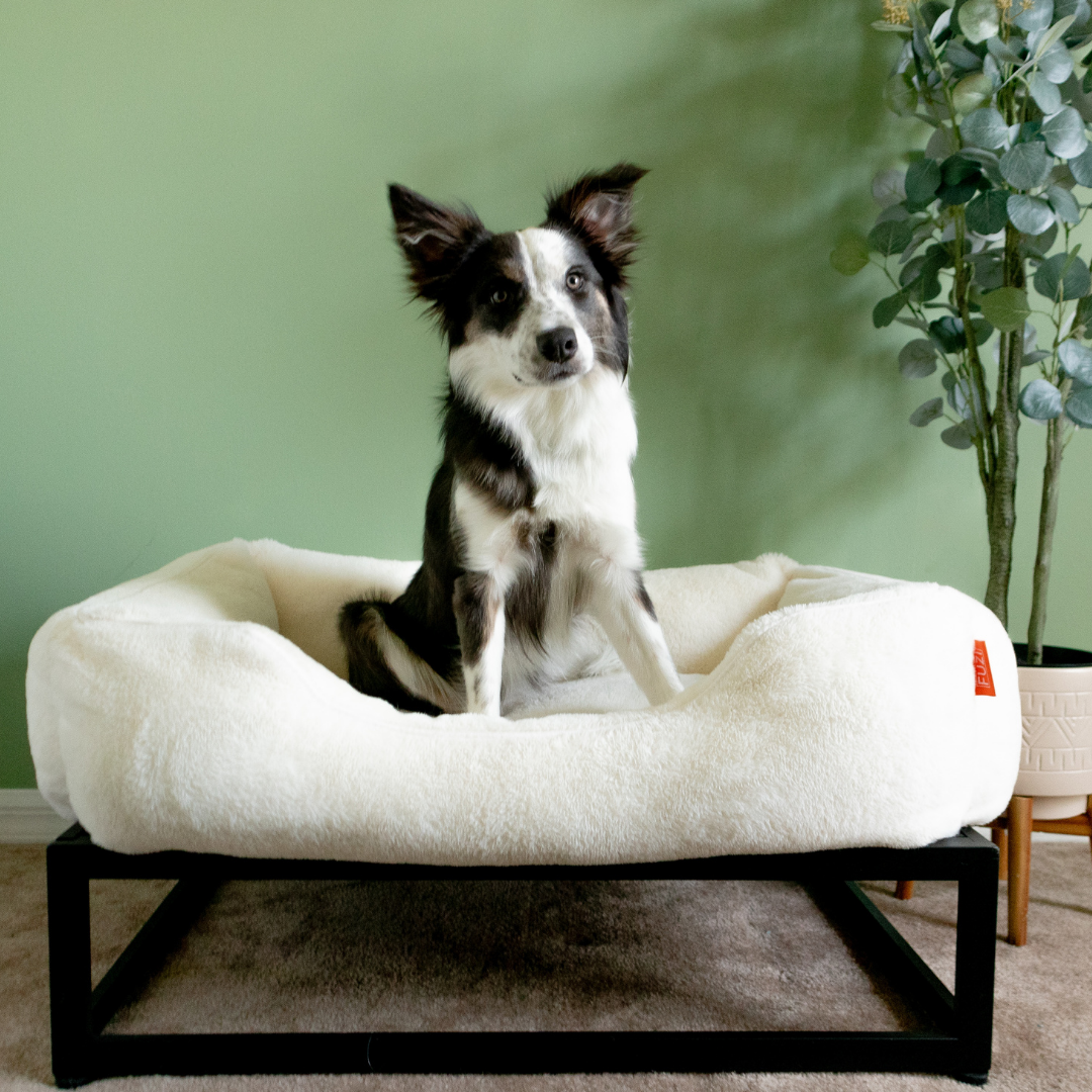 The FÜZI Dog Bed - Faux Fur