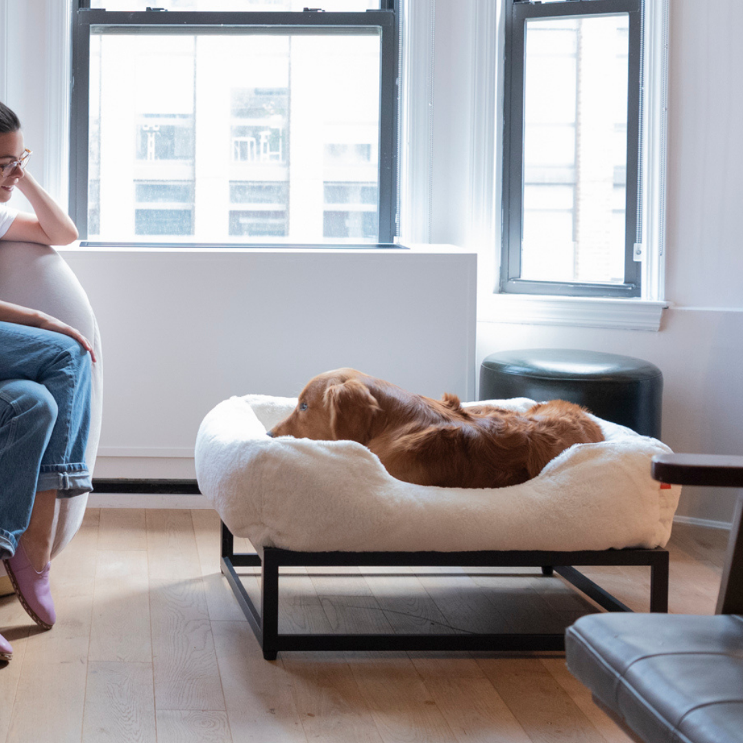 The FÜZI Dog Bed - Faux Fur