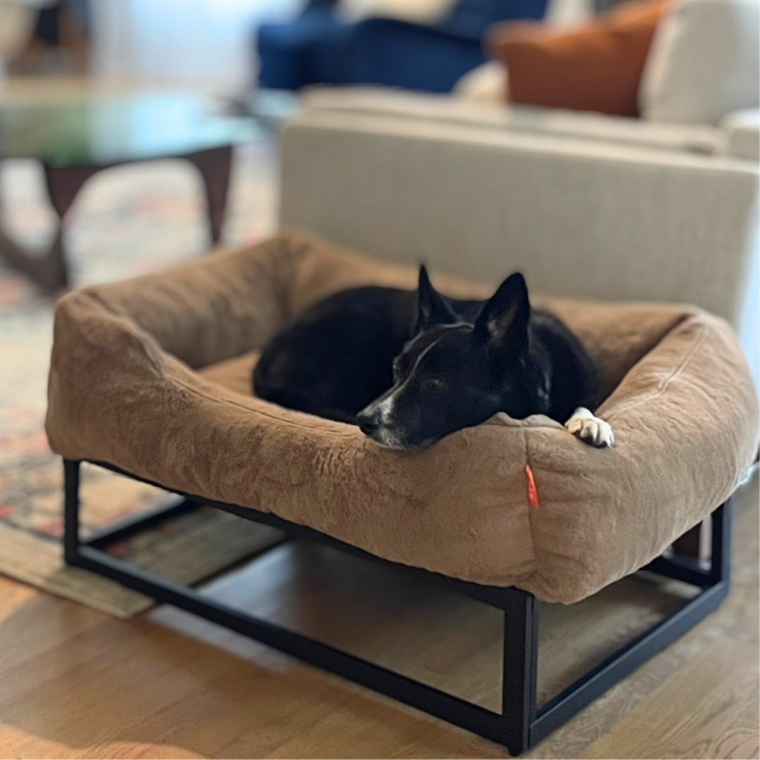 The FÜZI Dog Bed - Faux Fur