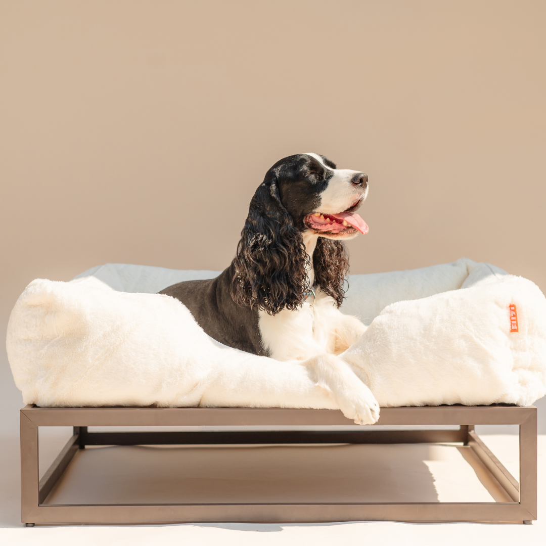The FÜZI Dog Bed - Faux Fur