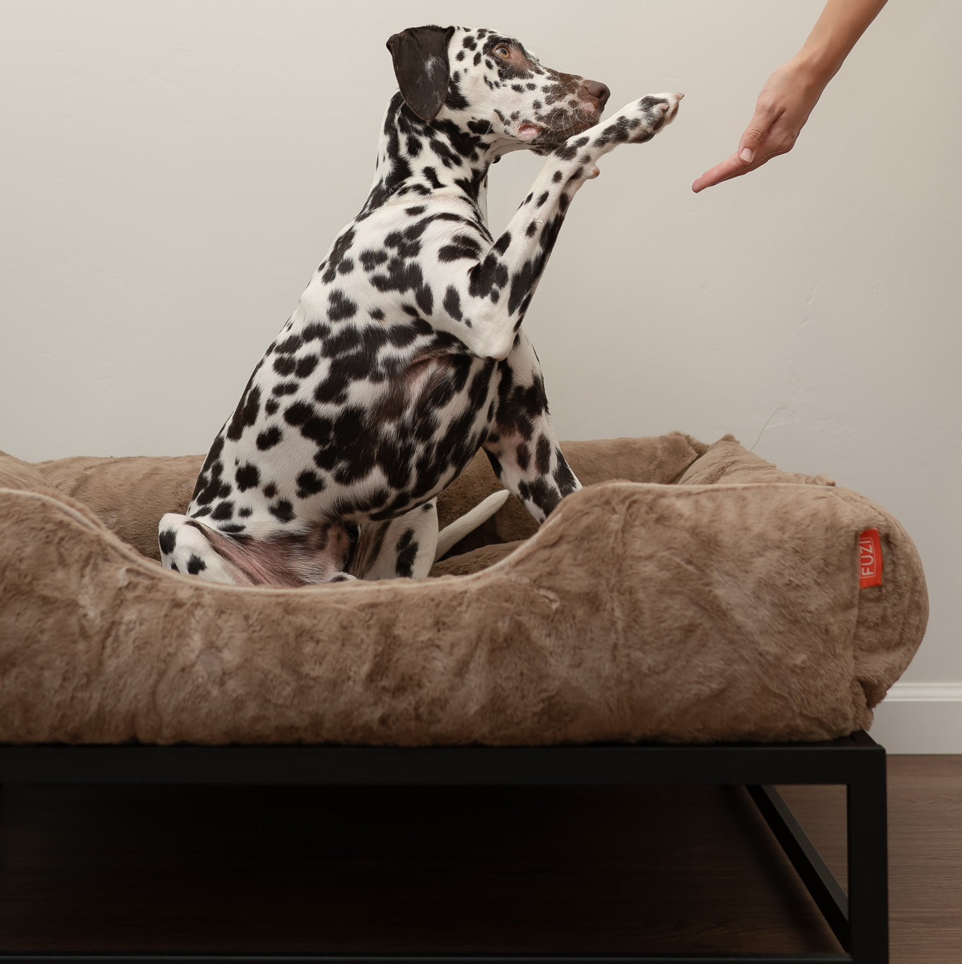 The FÜZI Dog Bed - Faux Fur