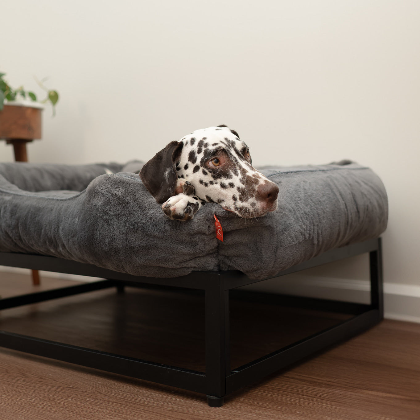 The FÜZI Dog Bed - Faux Fur