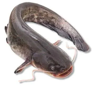 Miscellaneous Fish