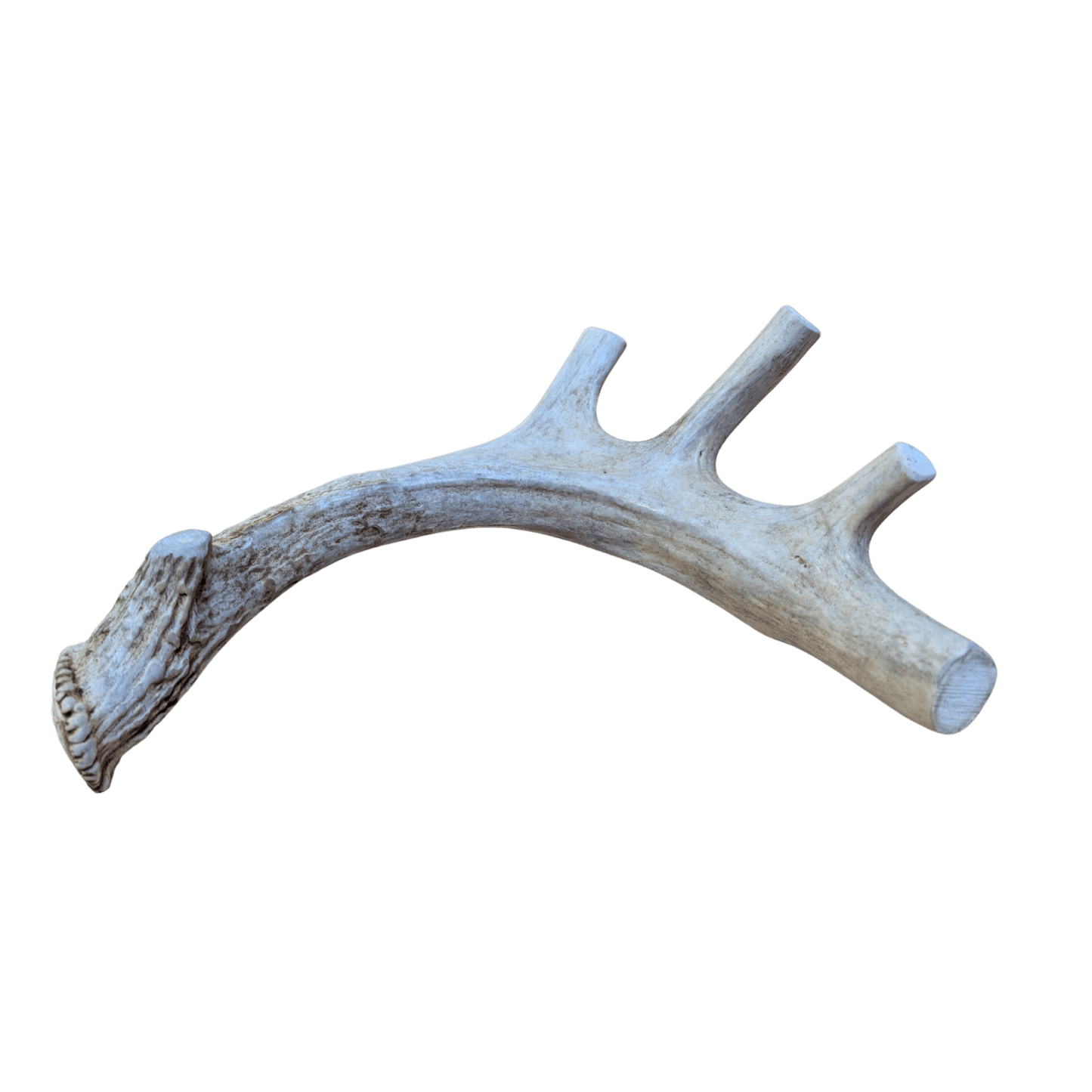 Deer Antler Dog Chews | Organic Antler Chews