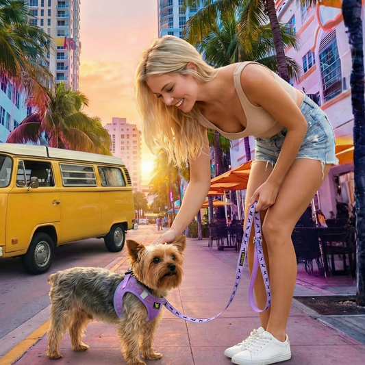 EcoBark Step In Dog Harness - XXXS to Small Breeds- Reflective Soft Mesh Harness for Teacup, Small Dogs and Puppies / Lavender