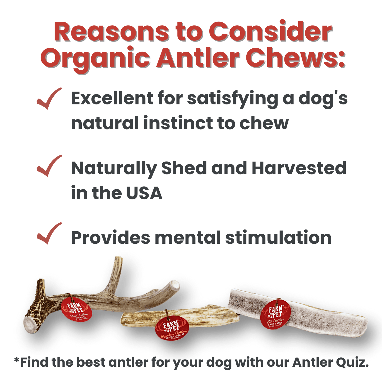 Split Reindeer Antlers for Dogs | Antler Dog Chews for Aggressive Chewers