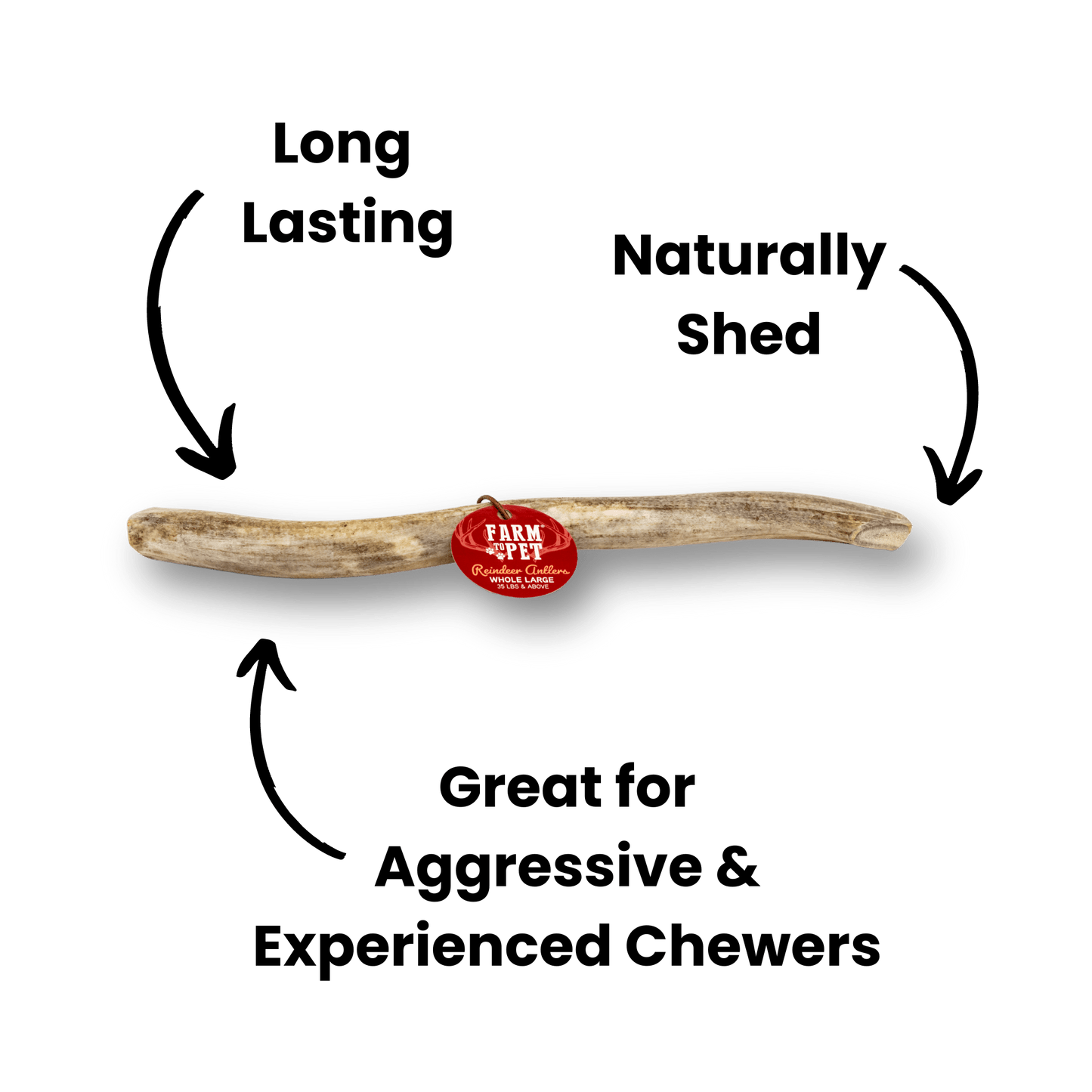 Whole Reindeer Antlers for Dogs | Antler Dog Chews for Aggressive Chewers