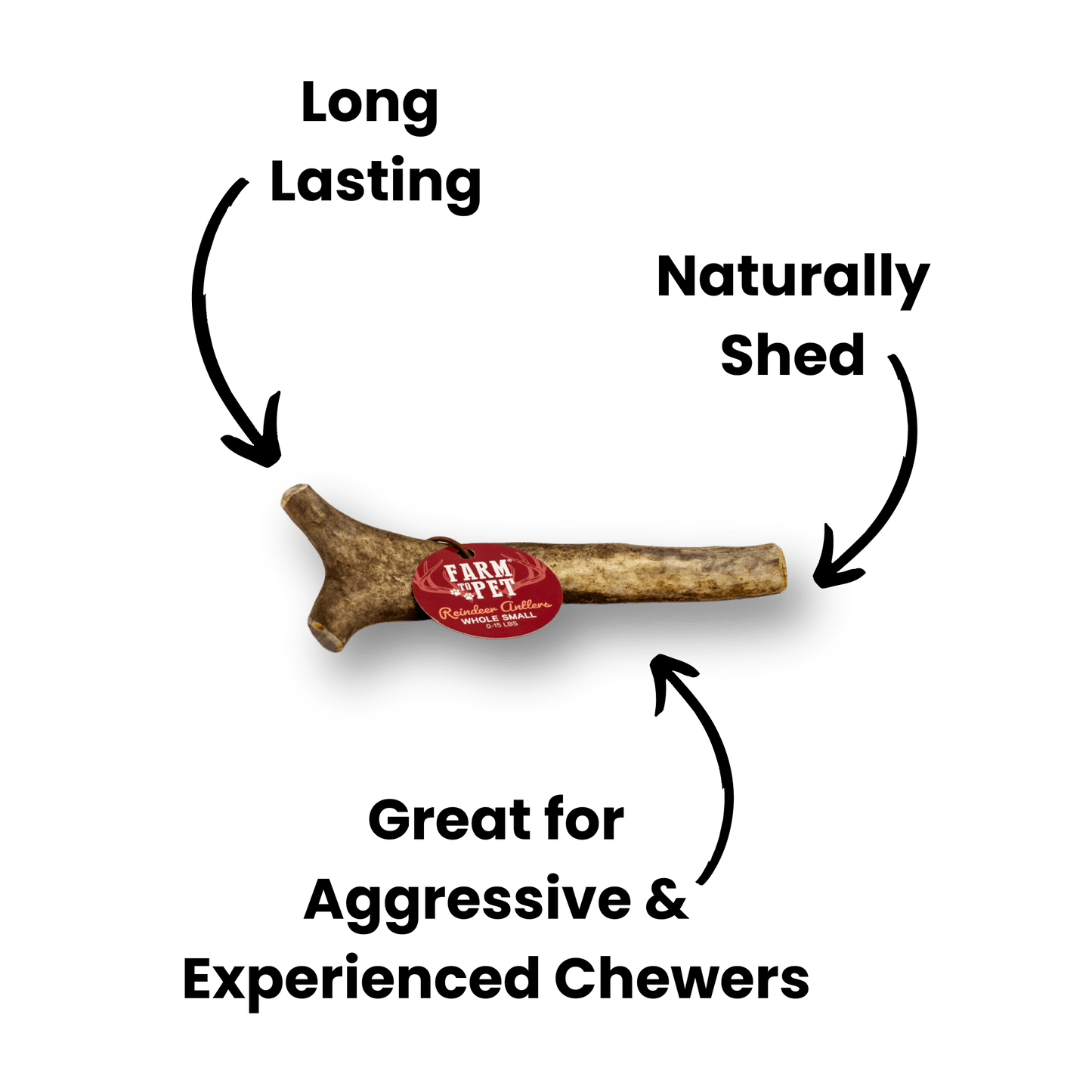 Whole Reindeer Antlers for Dogs | Antler Dog Chews for Aggressive Chewers