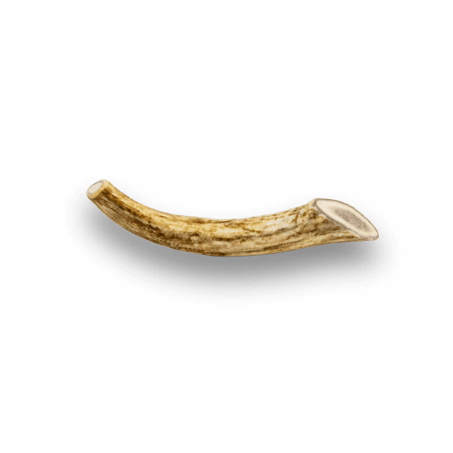 Whole Reindeer Antlers for Dogs | Antler Dog Chews for Aggressive Chewers