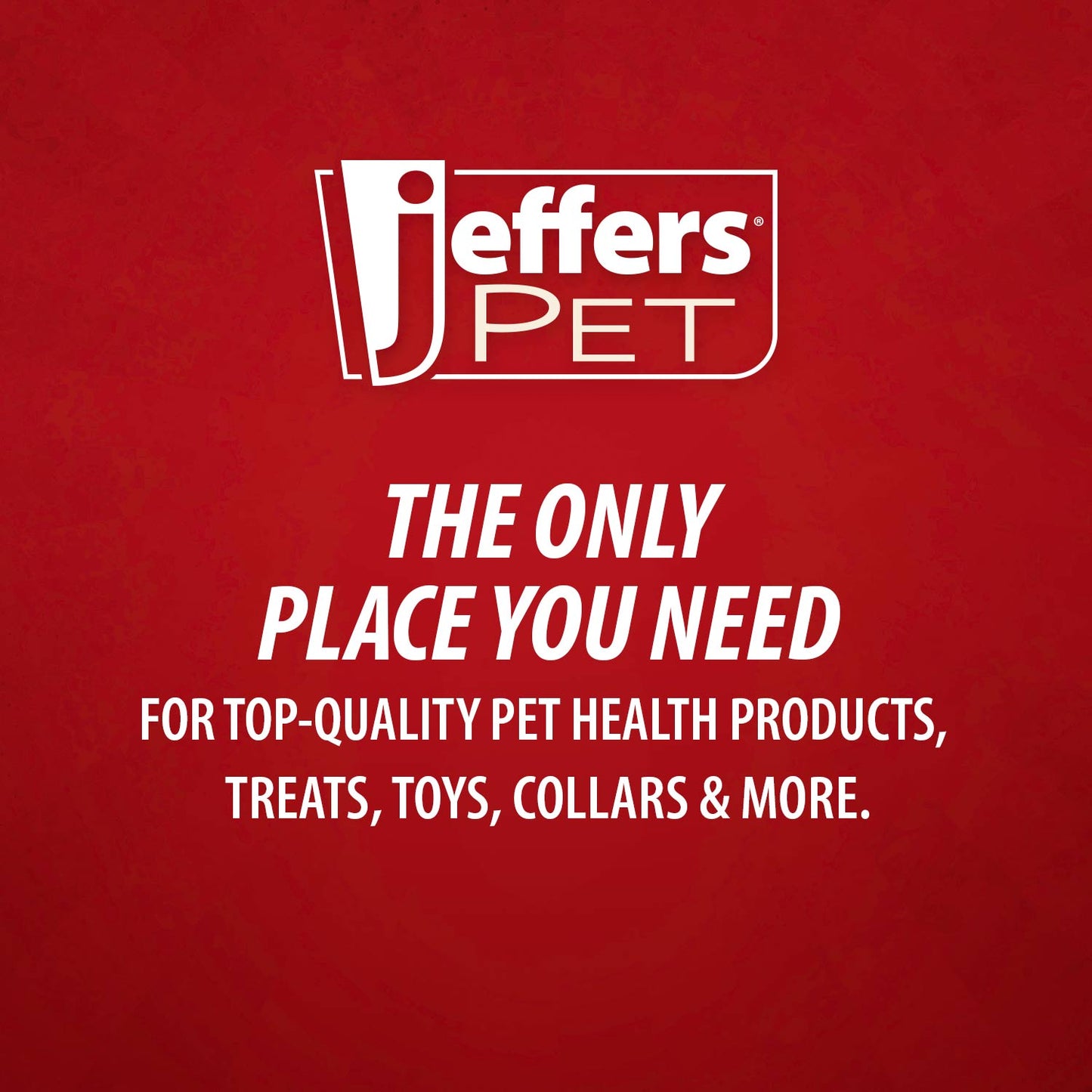 Jeffers Pet Tea Tree (Melaleuca) Medicated Dog Shampoo for Dry Skin